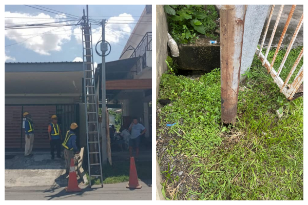 TM stepping up checks on poles, cables