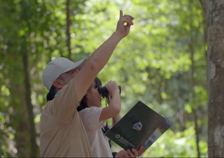Starting love for environ via Young Rangers role