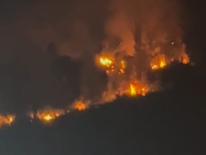 Firefighters contain 10-acre forest fire in Luyang