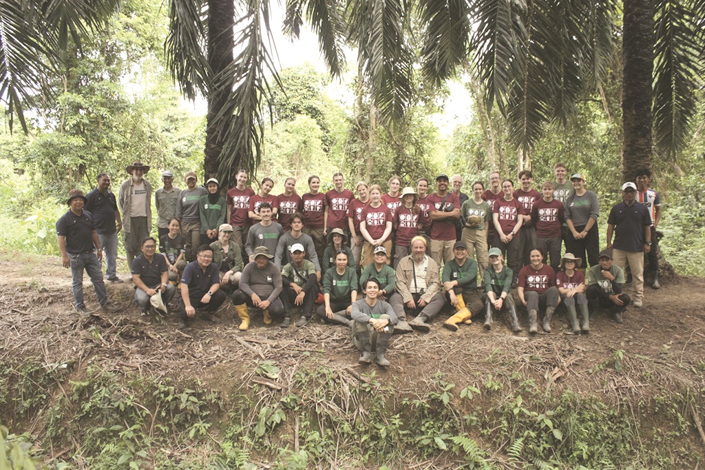 Cardiff team plants Ficus to support Orangutans, Hornbills