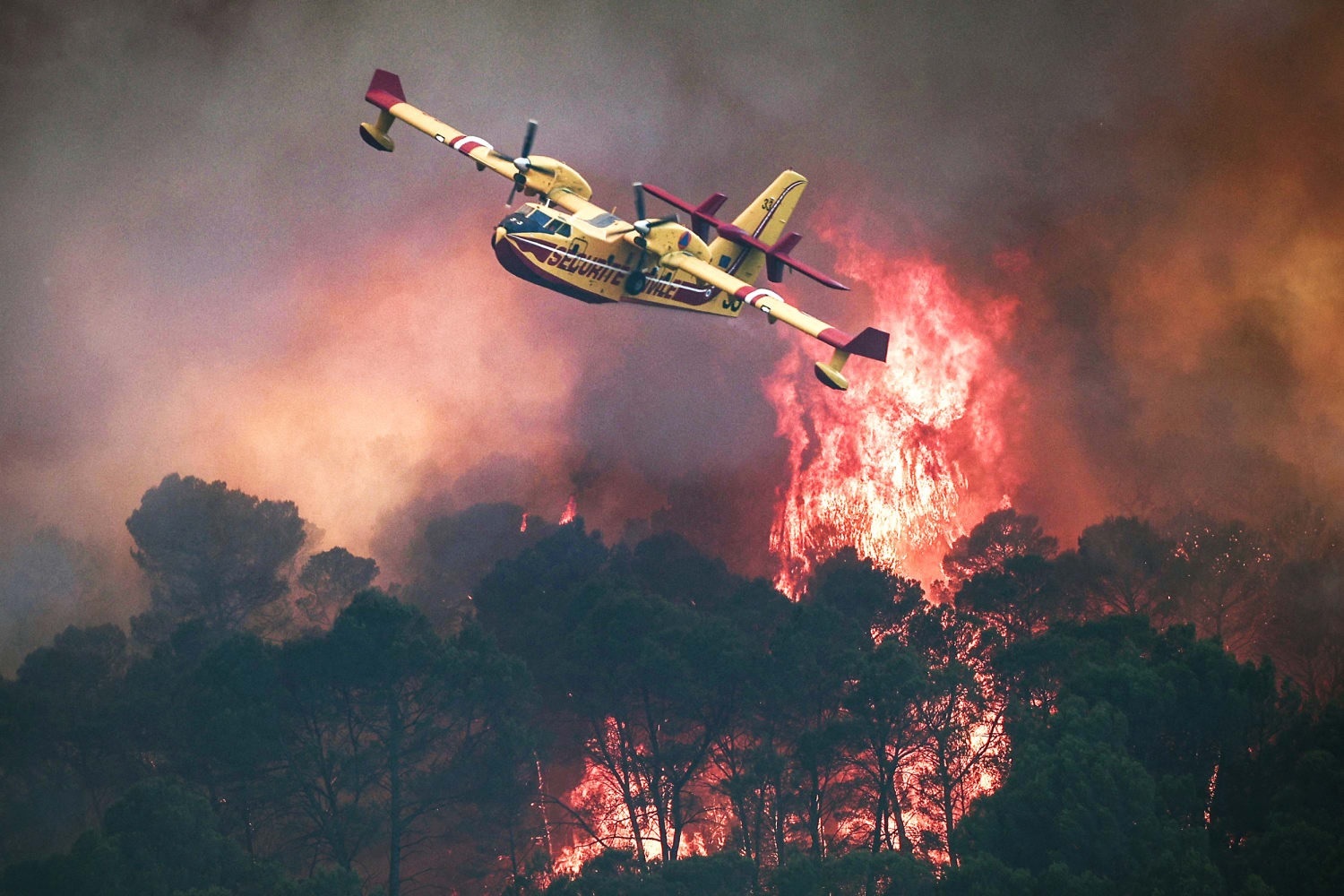Spain, France wildfires force 260,000 to flee