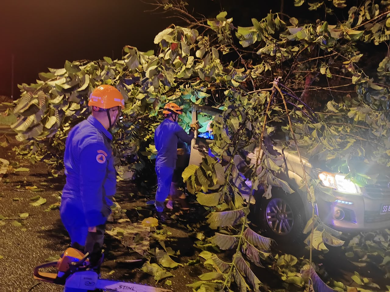 Three rescued after tree crushes car in Sandakan