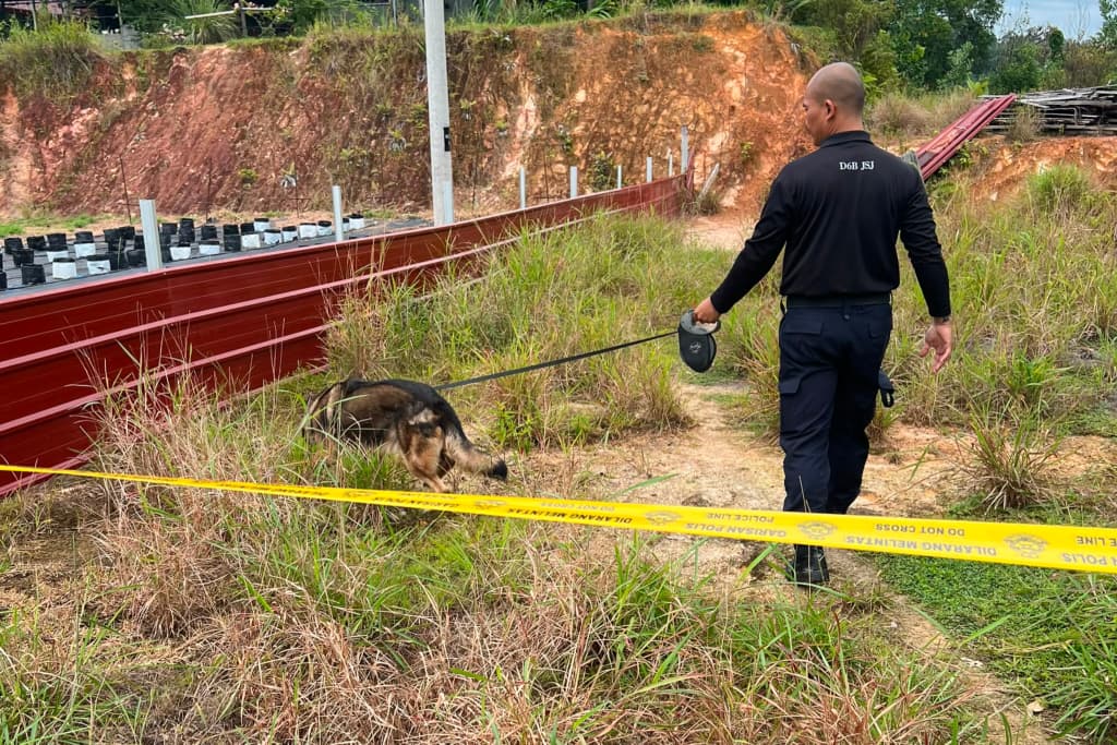 Foetus found near house in Penampang