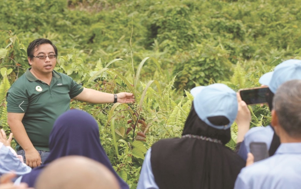 Project revives Lower Kawag forest
