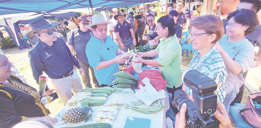 Sabah’s grazing areas cannot remain idle