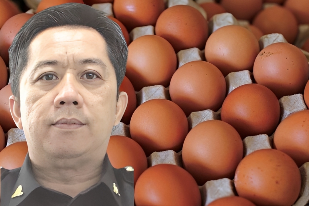 Ministry of Domestic Trade and Cost of Living to monitor chicken, egg prices