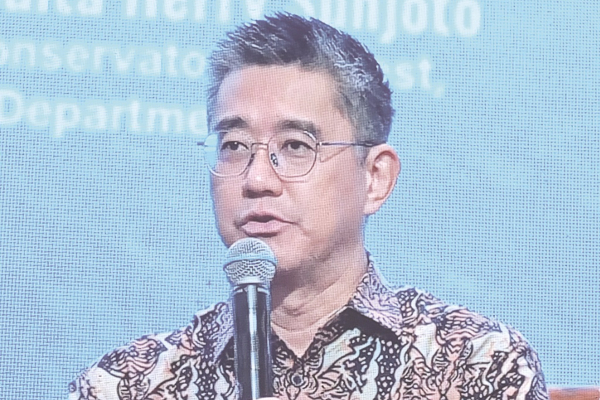 Advice for Sabah on oil palm midstream, not downstream