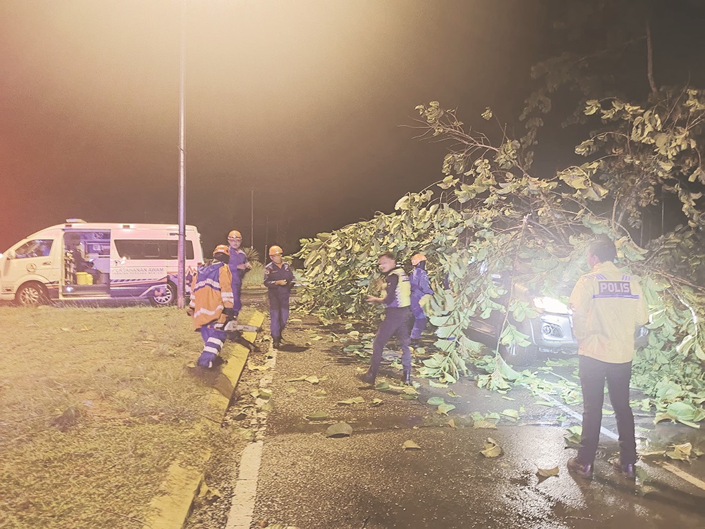  Three rescued after tree crashes on car in Sandakan