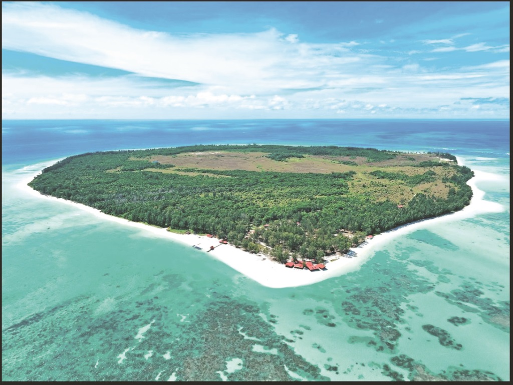 Restoring coral reefs first step