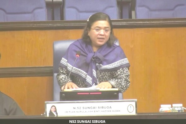 Rep slams 72-hour budget scrutiny 