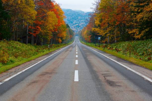 New road projects to ease Ranau, Kundasang congestion
