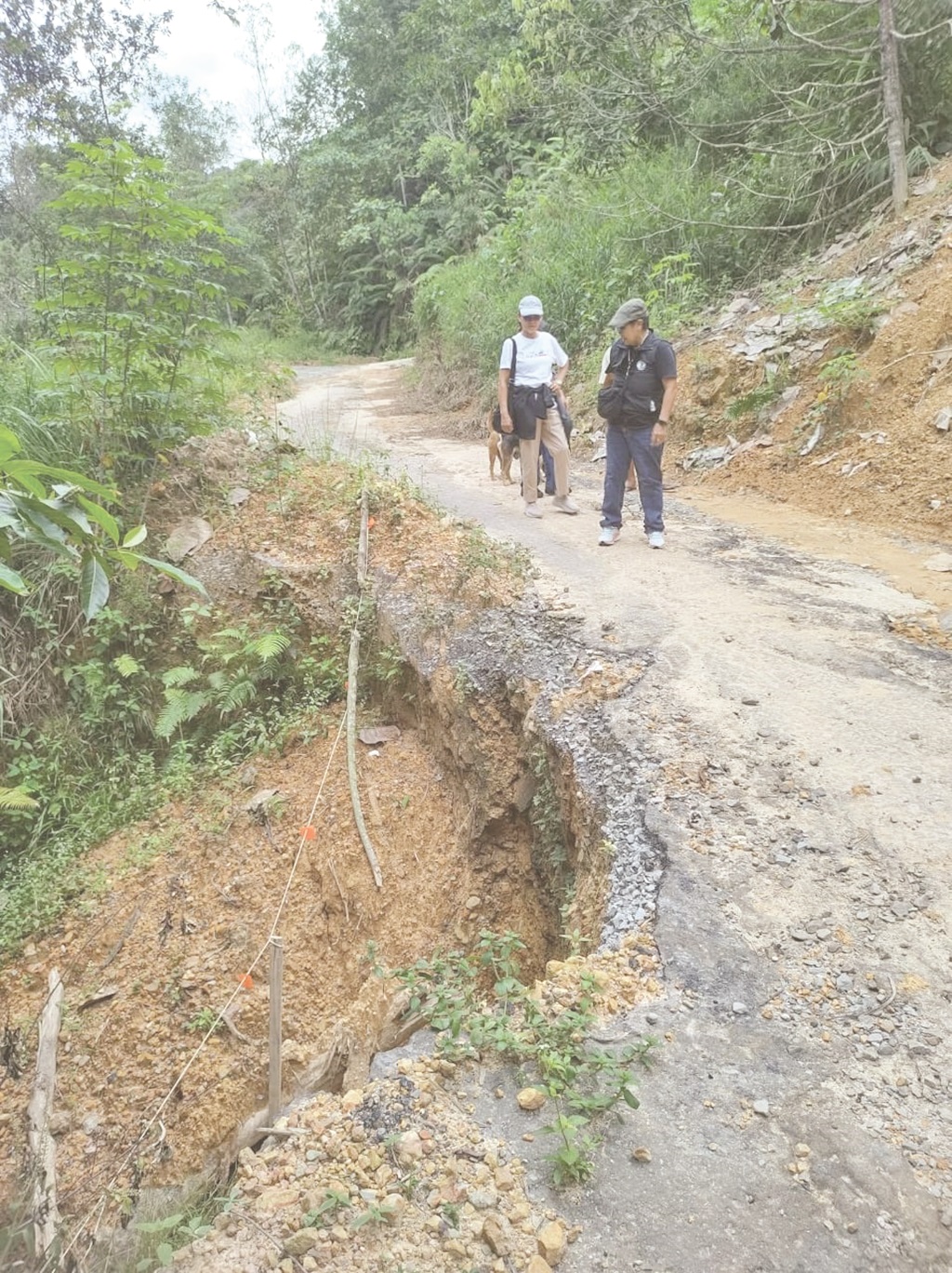 ‘Segera baiki jalan terdedah tanah runtuh di Penampang’