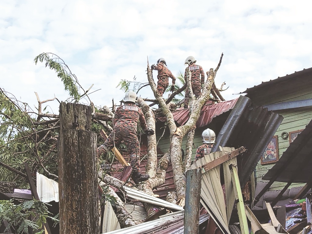 Woman, two children injured after tree crashes into home in Sandakan