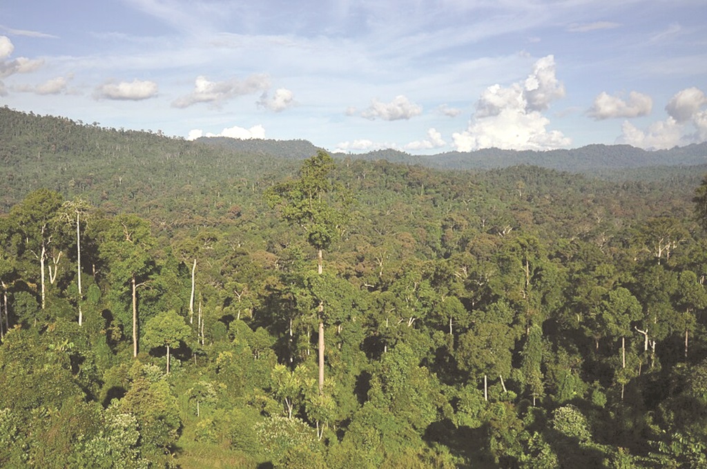 Green Sabah is leading Malaysia’s climate future