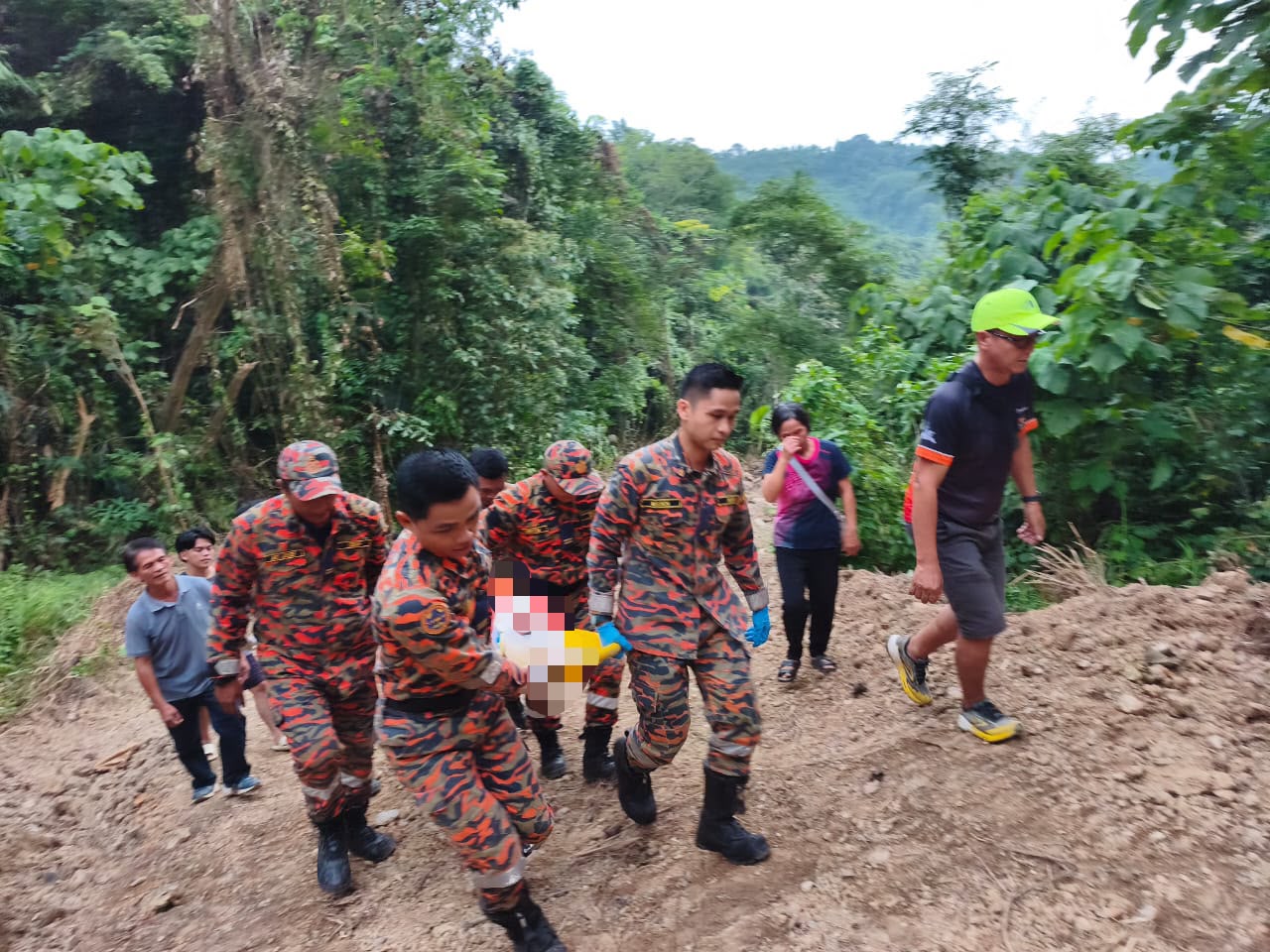 Man seriously injured by falling tree in Tamparuli