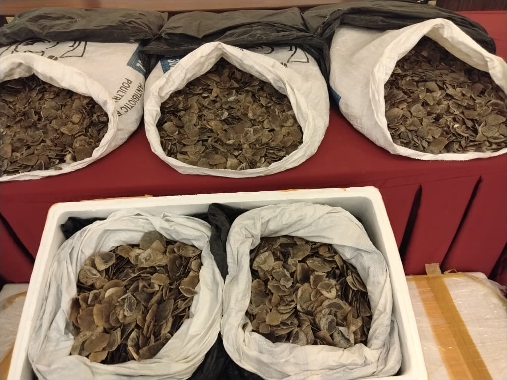 Customs seizes RM1.5m in pangolin scales, cigarettes and diesel