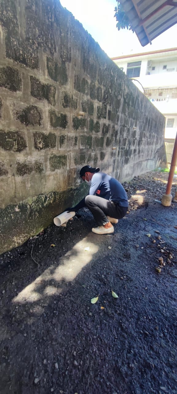 White tubing, with rat poison inside, was placed under the carpark and around the block nearby.