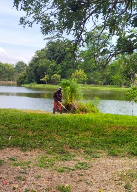 SEORANG pekerja memotong rumput di kawasan tepi tasik berhampiran laluan joging.
