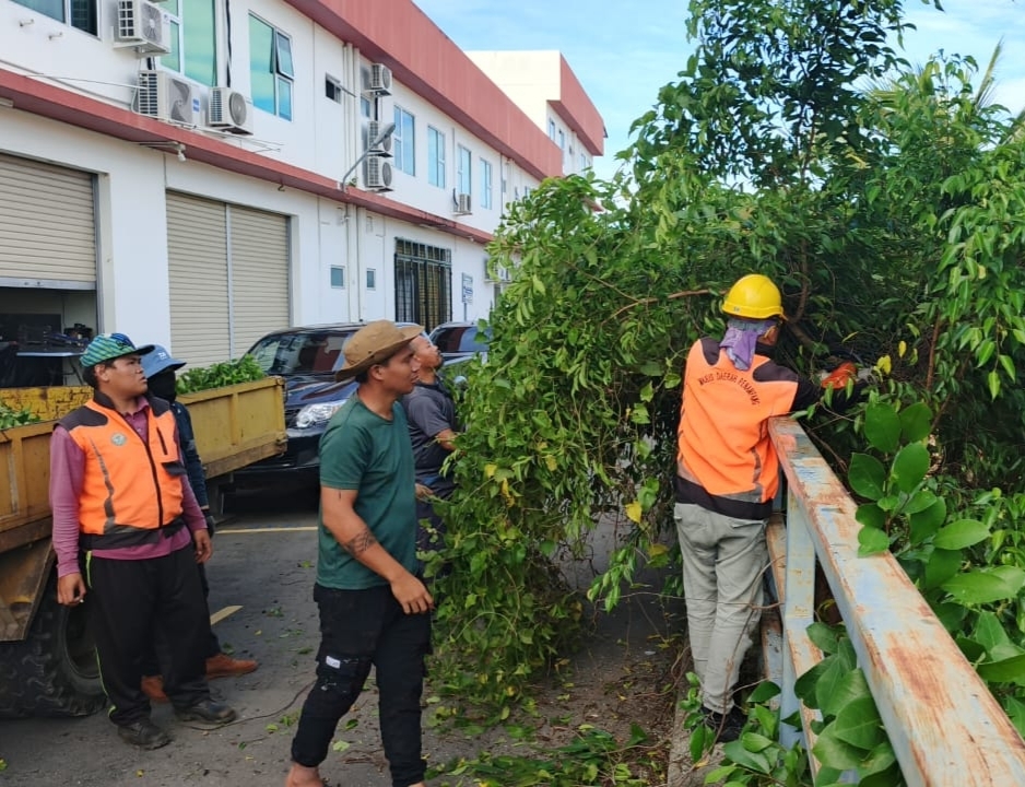 SISA potongan tumbuhan hijau yang terlalu rimbun  di Taman Starland dimuatkan ke belakang lori Majlis