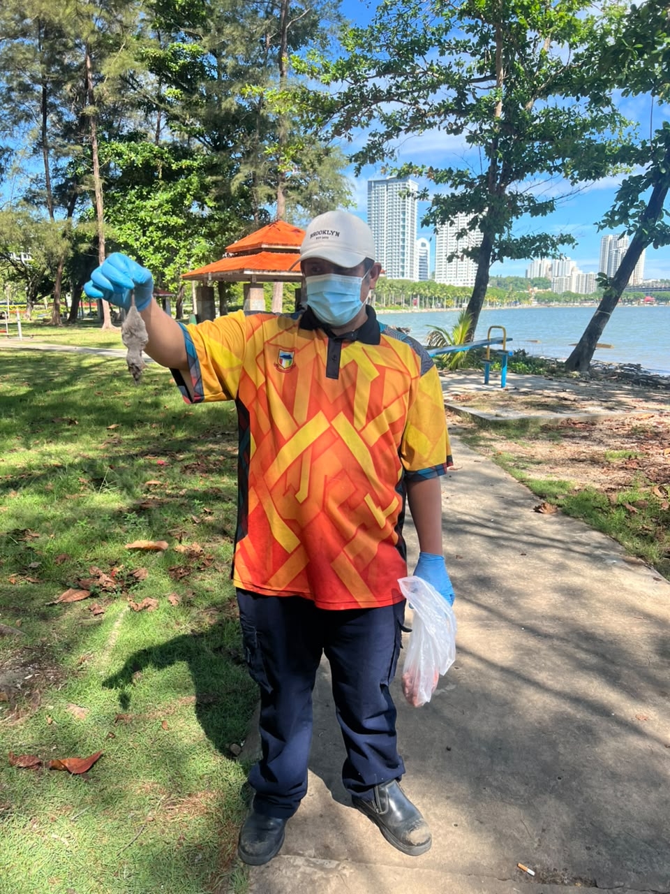 A VCU staff member holds up a dead rat which was removed from the Likas Public Park.
