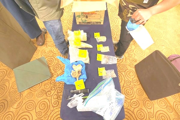 Fighting cross-border wildlife trafficking 
